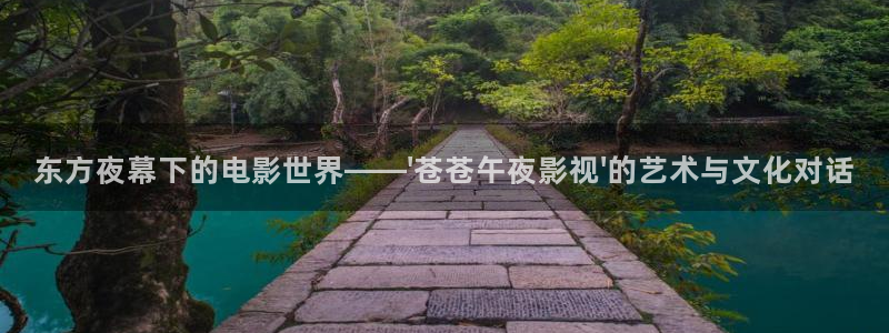 那片星空那片海回声