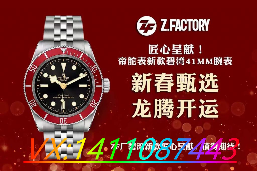 ZF厂帝舵碧湾小红盾做工如何？