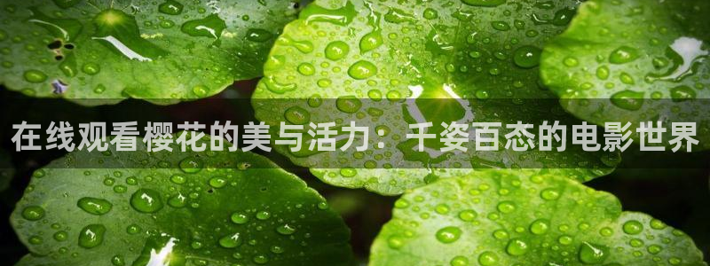 星空电影免费