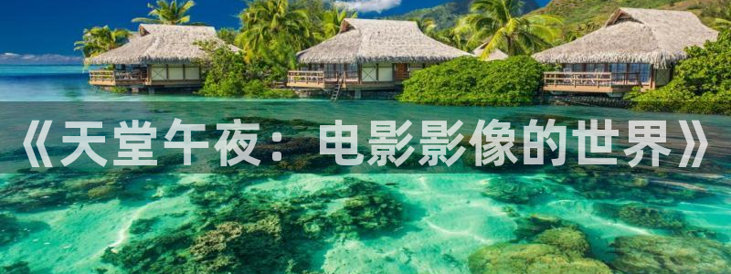 可可影视免费观看电视剧电影最新合