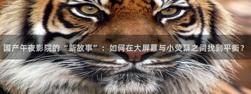 可可影视免费播放电视剧