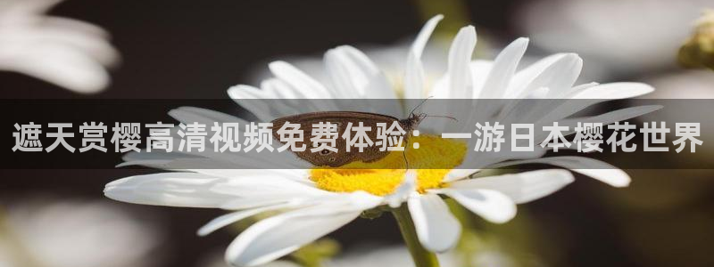 星空影视电视版
