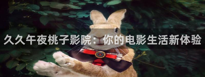 星空动漫网官网在线观看免费