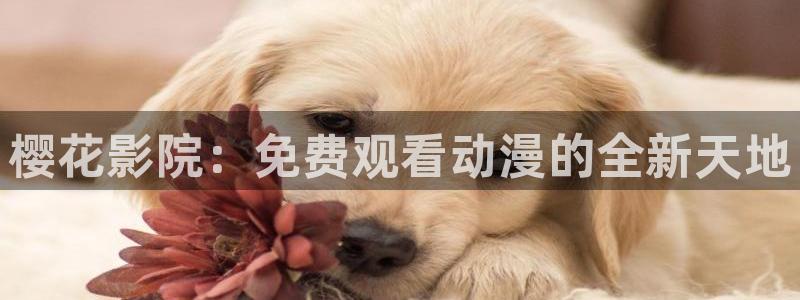可可影视电视剧免费播放在线观看