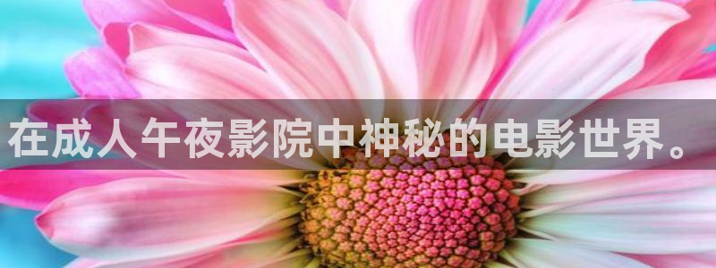 星空影视下载ios