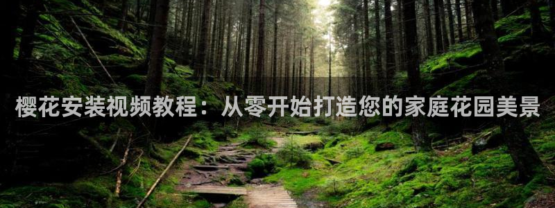 星空视频在线观看免费播放