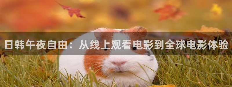星空电影免费