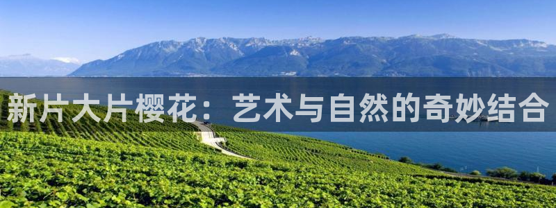 星空关岭影城