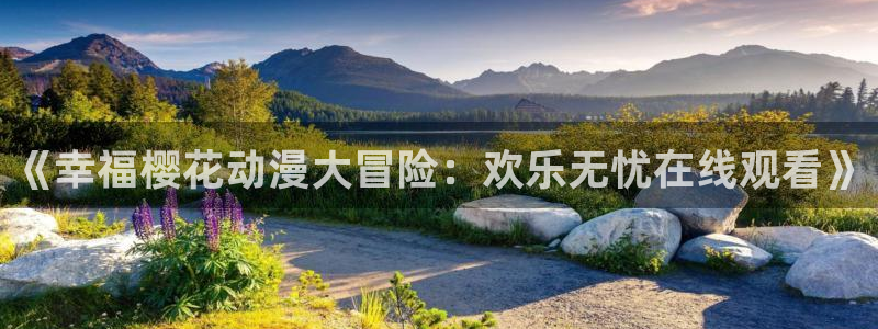 可可影视入口