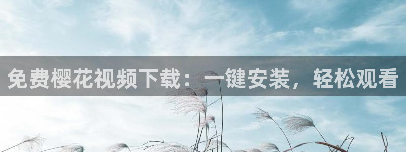 星空影城电影放映表