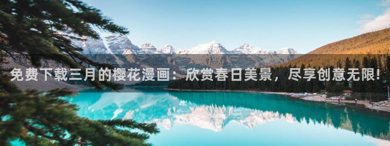 星空视频免费观看高清完整版