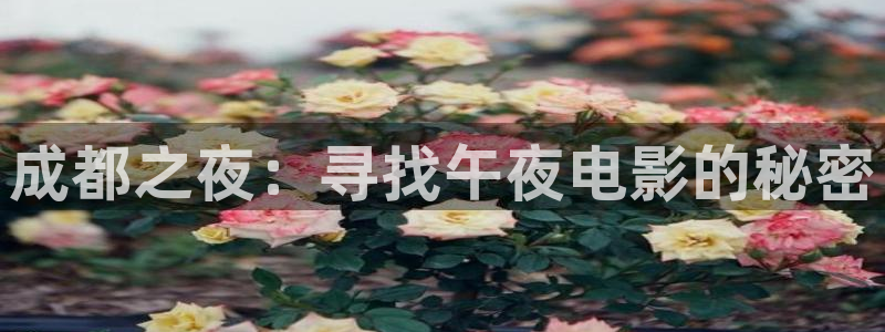 可可影视动漫下载