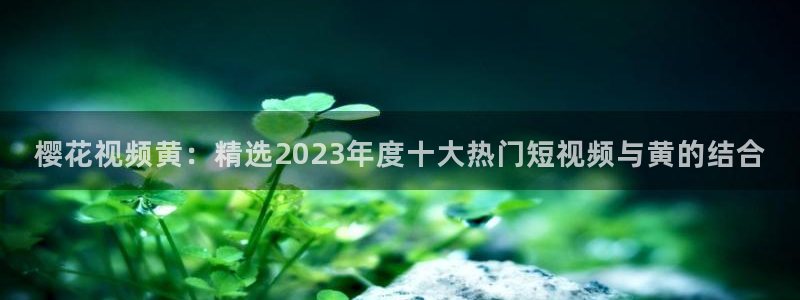 可可影视大全