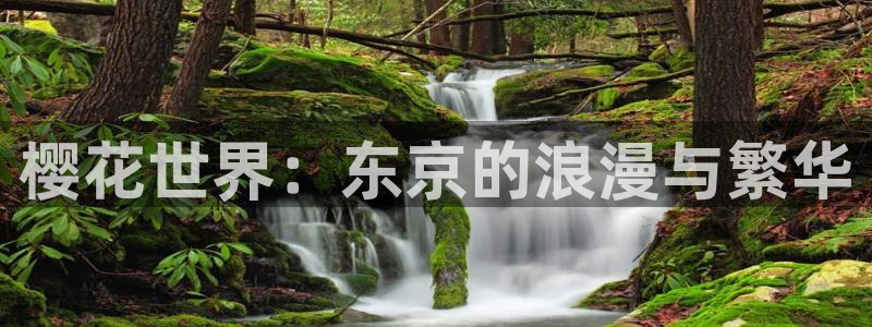 可可影视电影电视剧