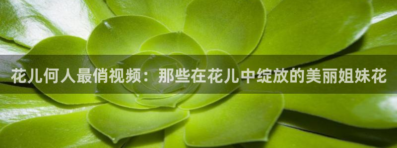 下载星空影视