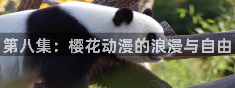 星空影视无限传媒