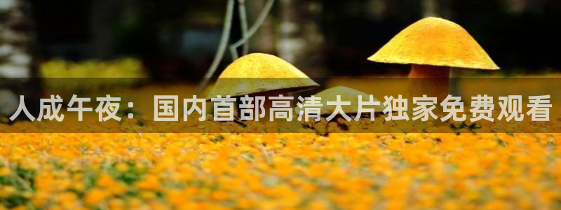 缘之空可可影视