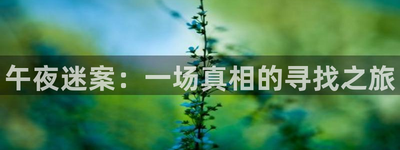 可可影视动漫免费观看